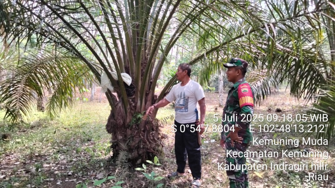 Babinsa Koramil 09/Kemuning Praka Rahmat Adriyanto Melaksanakan Patroli Karhutla di Wilayah Binaan