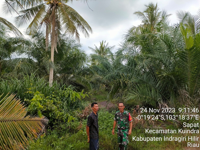 Babinsa Koramil 04/Kuindra Secara Rutin Lakukan Patroli Guna Untuk Menghindari Terjadinya Kebakaran