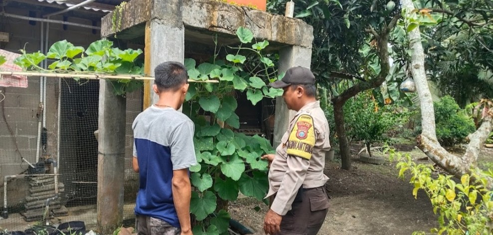 Bripka Heru Susanto Kawal Pekarangan Bagan Jaya, Labu dan Cabe Rawit Dipantau Polsek Enok