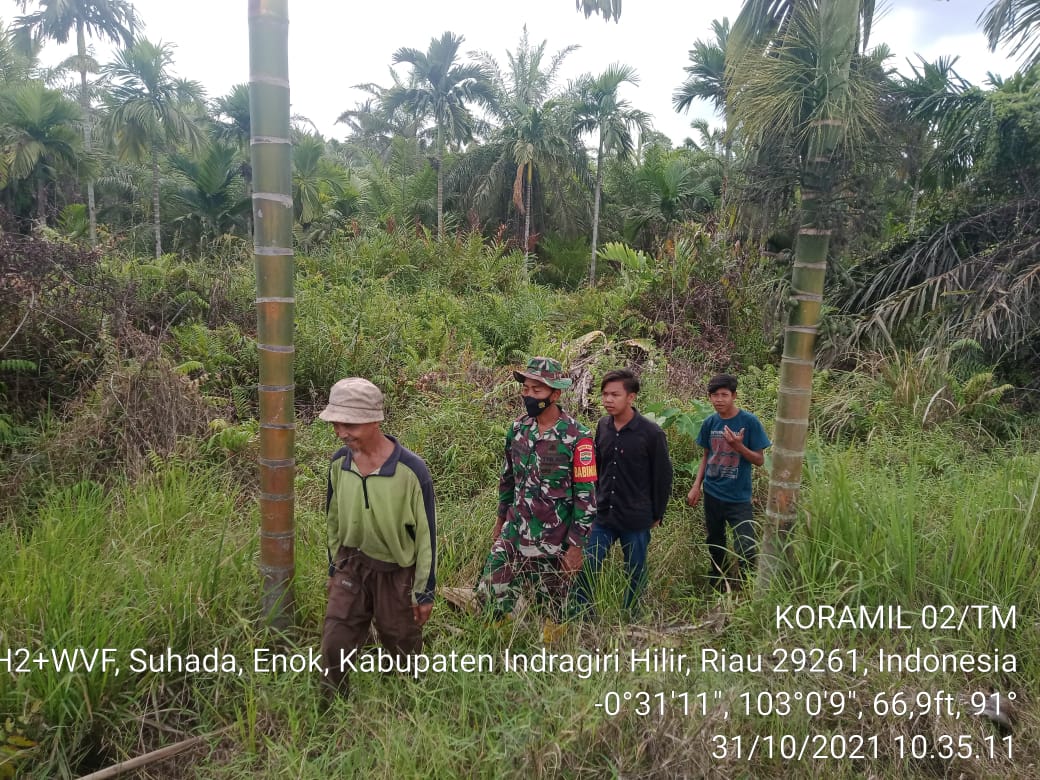 Keluar Masuk Kebun Masyarakat, Babinsa Koramil 02/Tanah Merah Rutin Berikan Himbauan Bahaya Karhutla