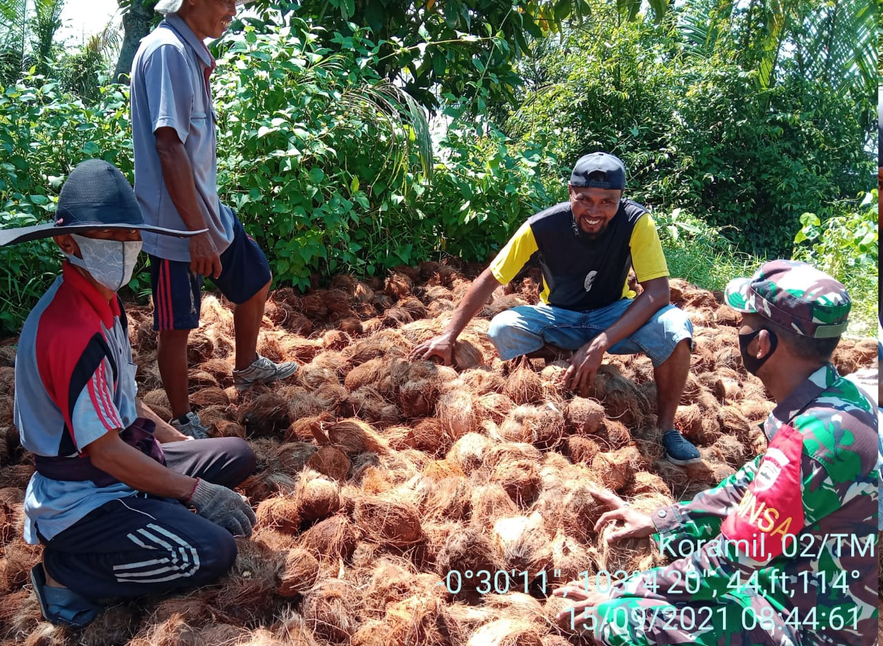 Babinsa Koramil 02/Tanah Merah Komsos dengan Petani Kelapa