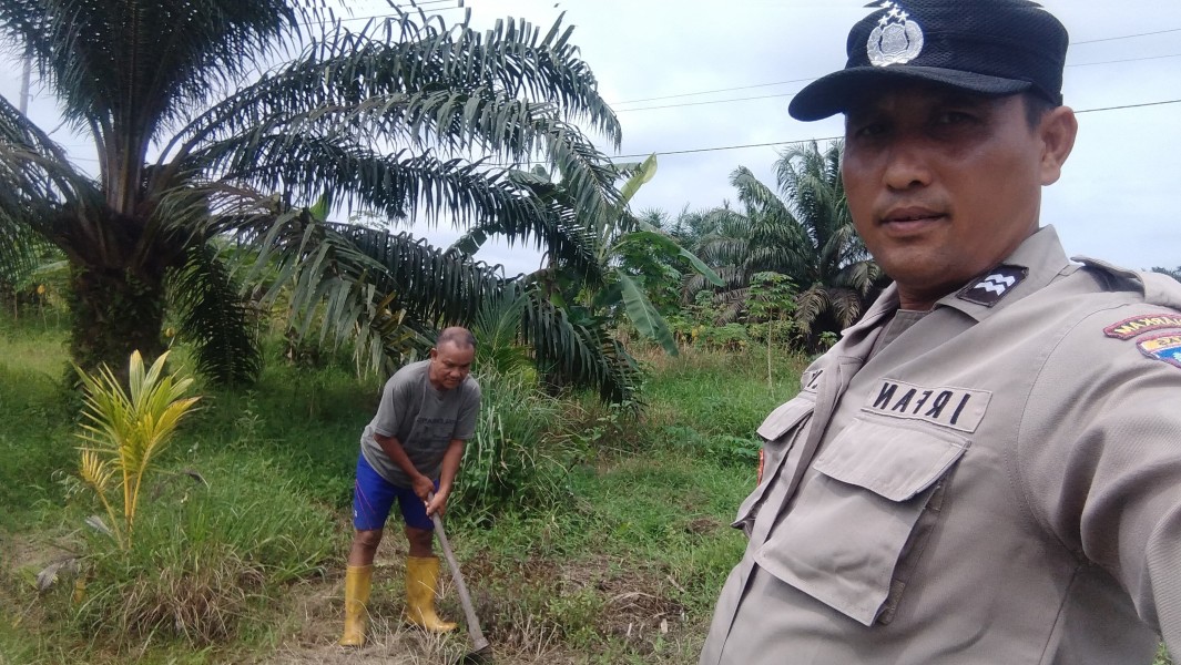 Bhabinkamtibmas Kampung Rawang Air Putih Terus Menunjukkan Kepeduliannya Terhadap Ketahanan Pangan Jagung Pipil