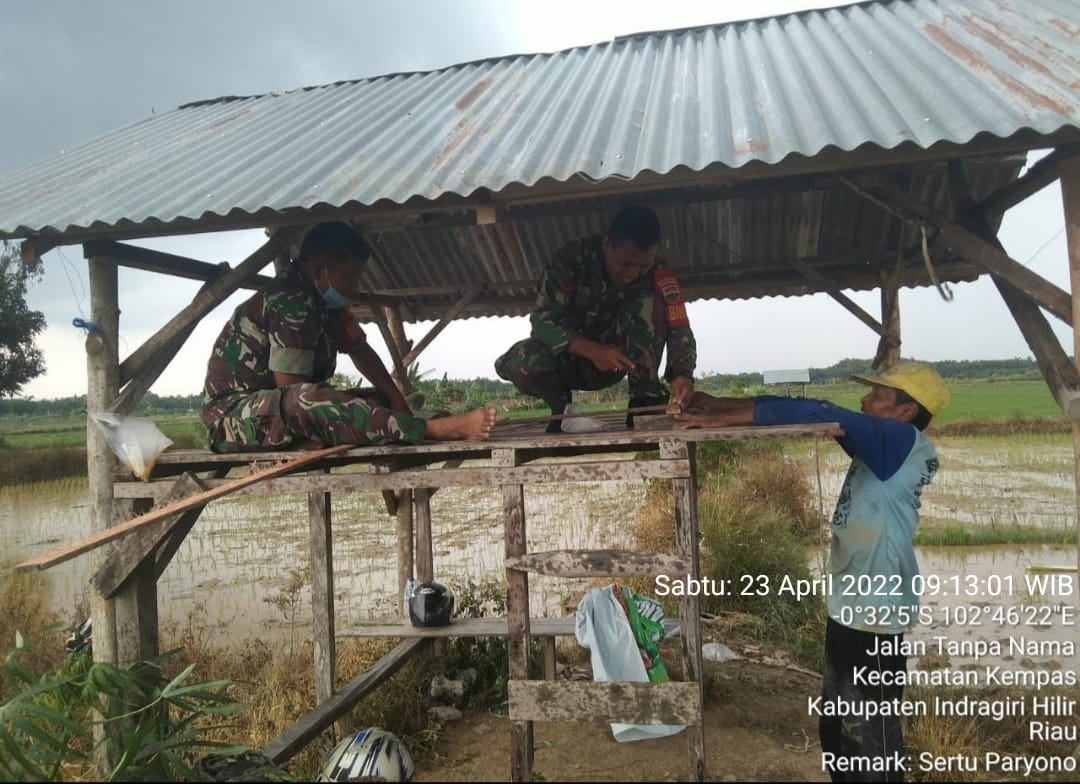 Ciptakan Keharmonisan Babinsa 03/Tempuling Komsos dengan Petani di Lahan Sawah