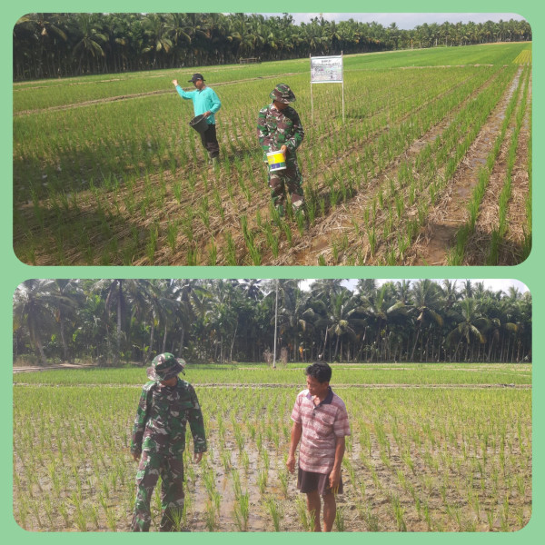 Lihat Perkembangan Pertanian Warga, Koramil 07/Reteh Jalin Hubungan Baik