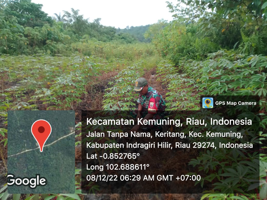 Bersama Babinsa Koramil 09/Kemuning Rutin Lakukan Pembersihan Lahan