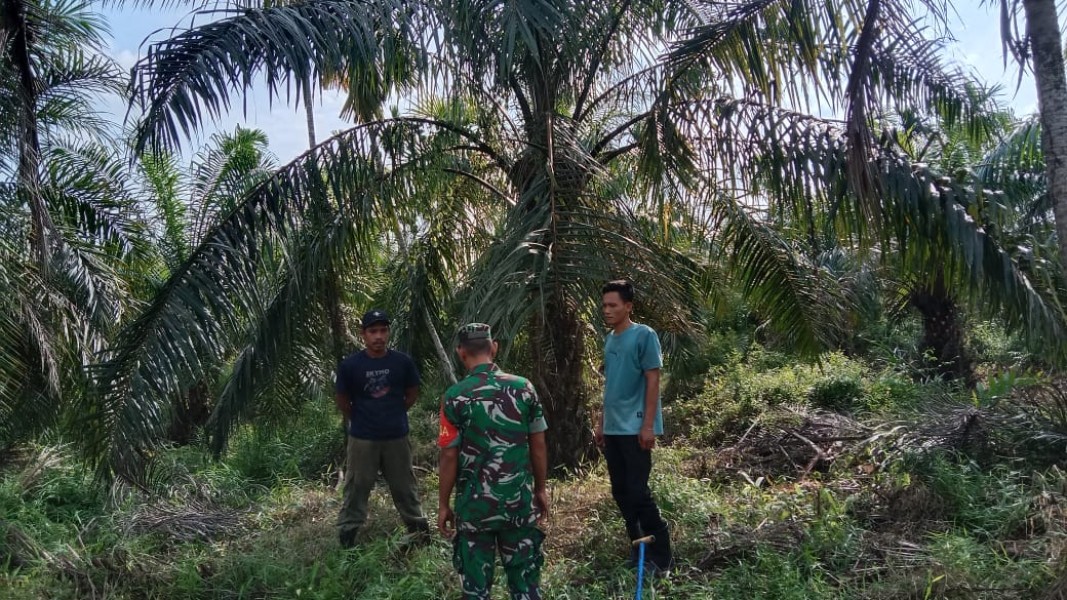 Serka Yadi Yanto: Patroli Tapal Batas untuk Meningkatkan Keamanan dan Ketertiban