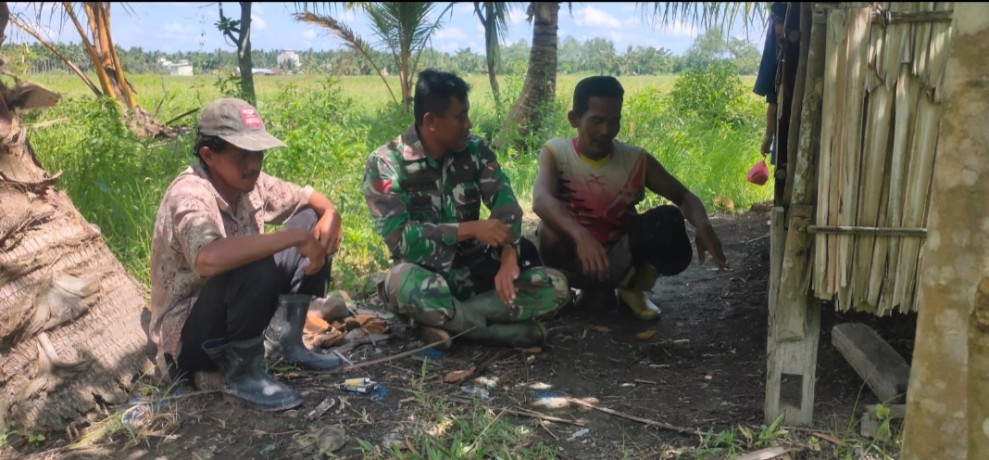 Babinsa Lakukan Diskusi dengan Petani dan Pengawasan SDM Guna Meningkatkan Hasil Perkebunan dan Pertanian di Reteh