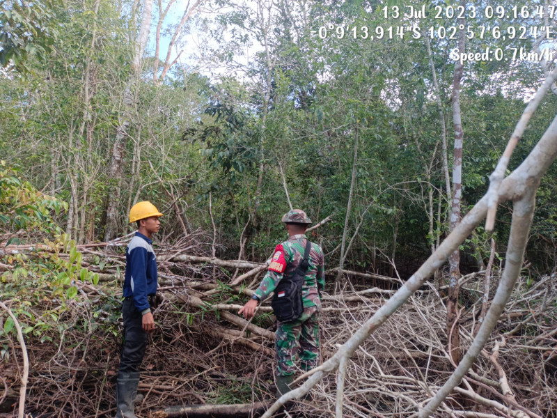 Praka Chandra Manto Koramil 05/Gas Laksanakan Patroli Kebakaran Hutan Konsesi Mitigasi Di Kawasan PT.MSK