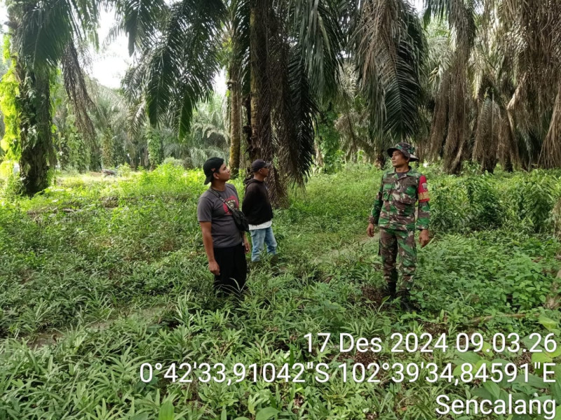 Patroli Karhutla Di Koramil 09/Keritang Berjalan Aman