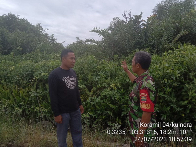 Babinsa Koramil 04/Kuindra Selalu Upayakan Karhutla Di Wilayah Guna Mencegah Kebakaran