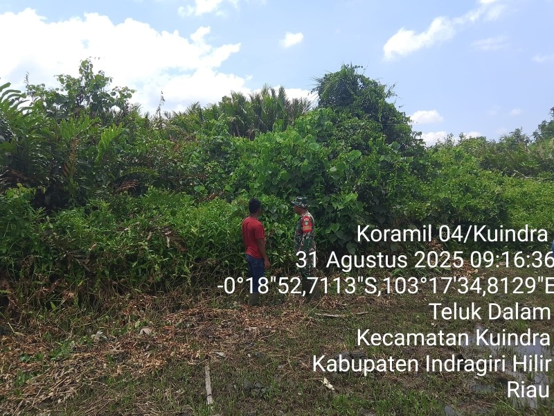 Babinsa Koramil 04/Kuindra Laksanakan Patroli Karhutla di Parit 10 Desa Teluk Dalam