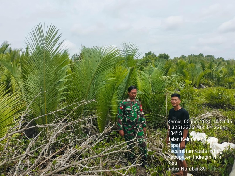 Cegah Kebakaran Hutan, Babinsa Praka Adzan Niko Laksanakan Patroli Karhutla