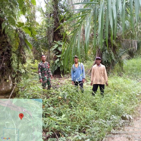 Aksi Nyata Cegah Karhutla: Babinsa dan Masyarakat Harapan Jaya Bersinergi untuk Lingkungan yang Lebih Baik