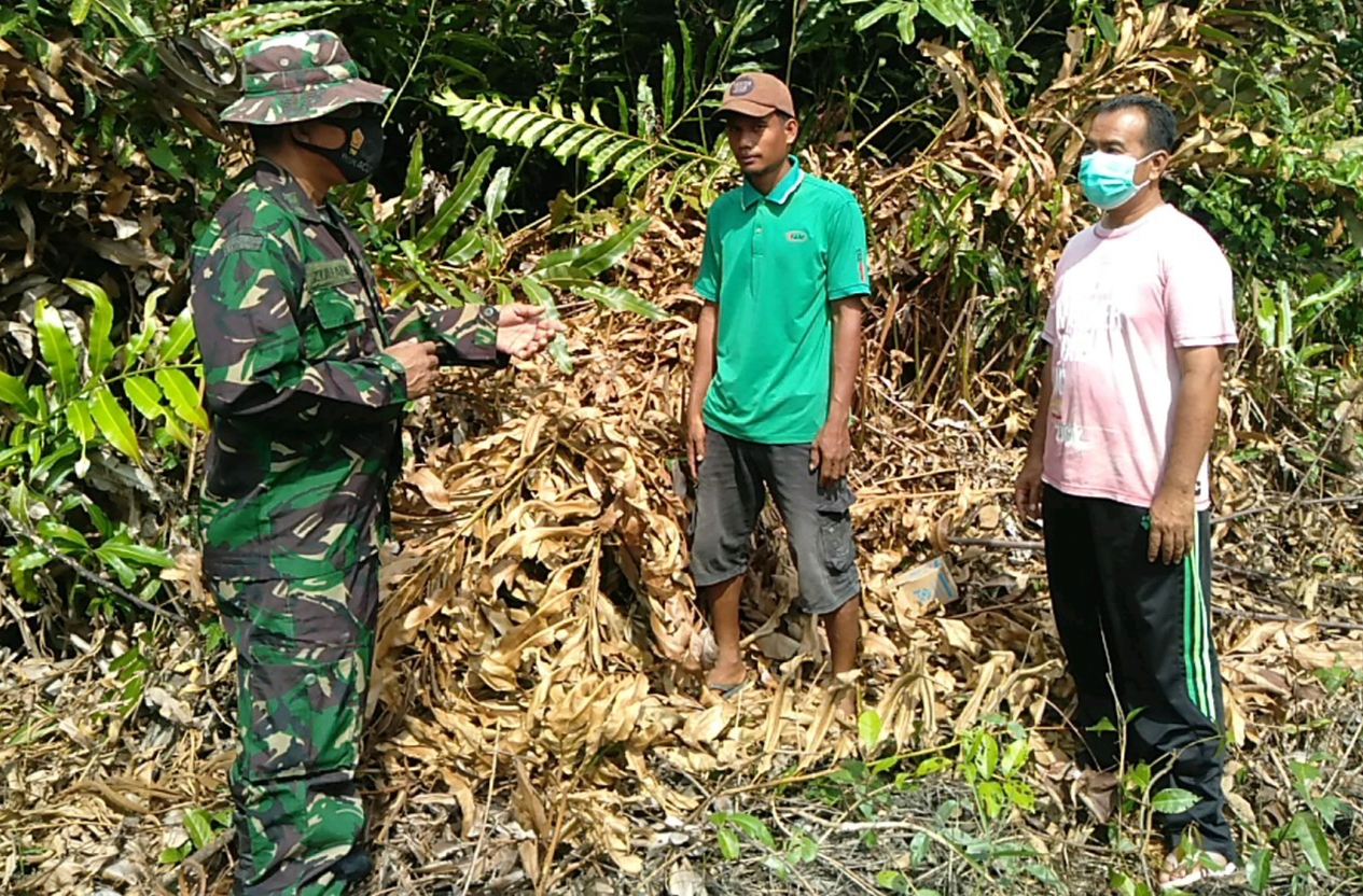 Babinsa 04/Kuindra Lakukan Patroli Karhutla di Kebun Masyarakat