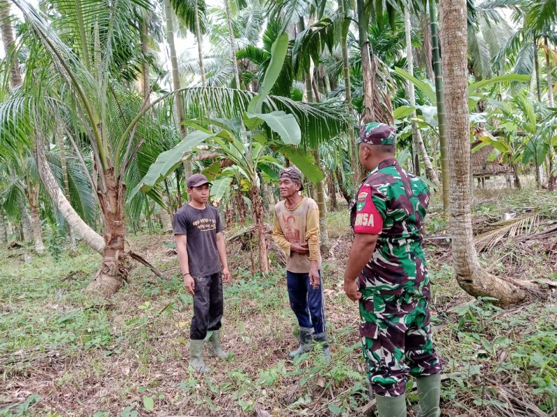 Babinsa Serka Ferry M. Barus: Pentingnya Menjaga Keamanan dan Ketertiban di Wilayah