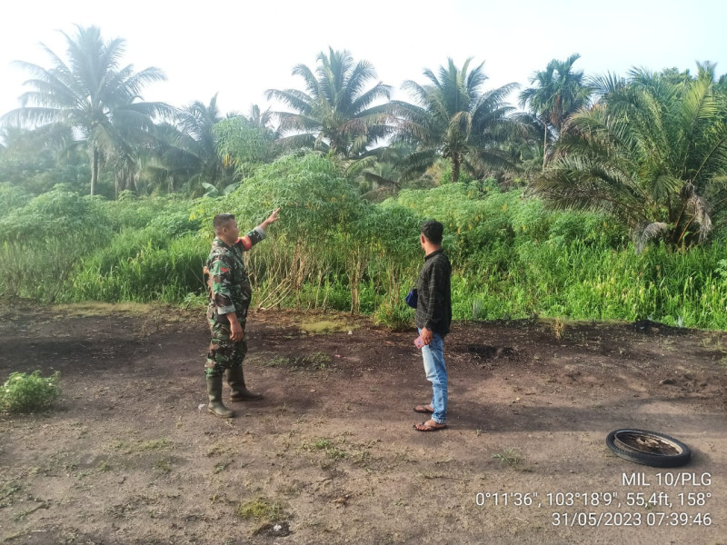 Babinsa Koramil 10/Pelangiran Lakukan Pemantauan Secara Langsung Terhadap Lahan dan Hutan