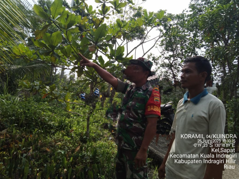 Memasuki Musim Kemarau, Babinsa Koramil 04/Kuindra Terus Waspadai Kebakaran Hutan