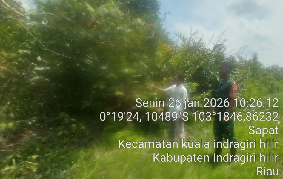 Babinsa Koramil 04/Kuindra Laksanakan Patroli Tapal Batas dan Sosialisasi Karhutla