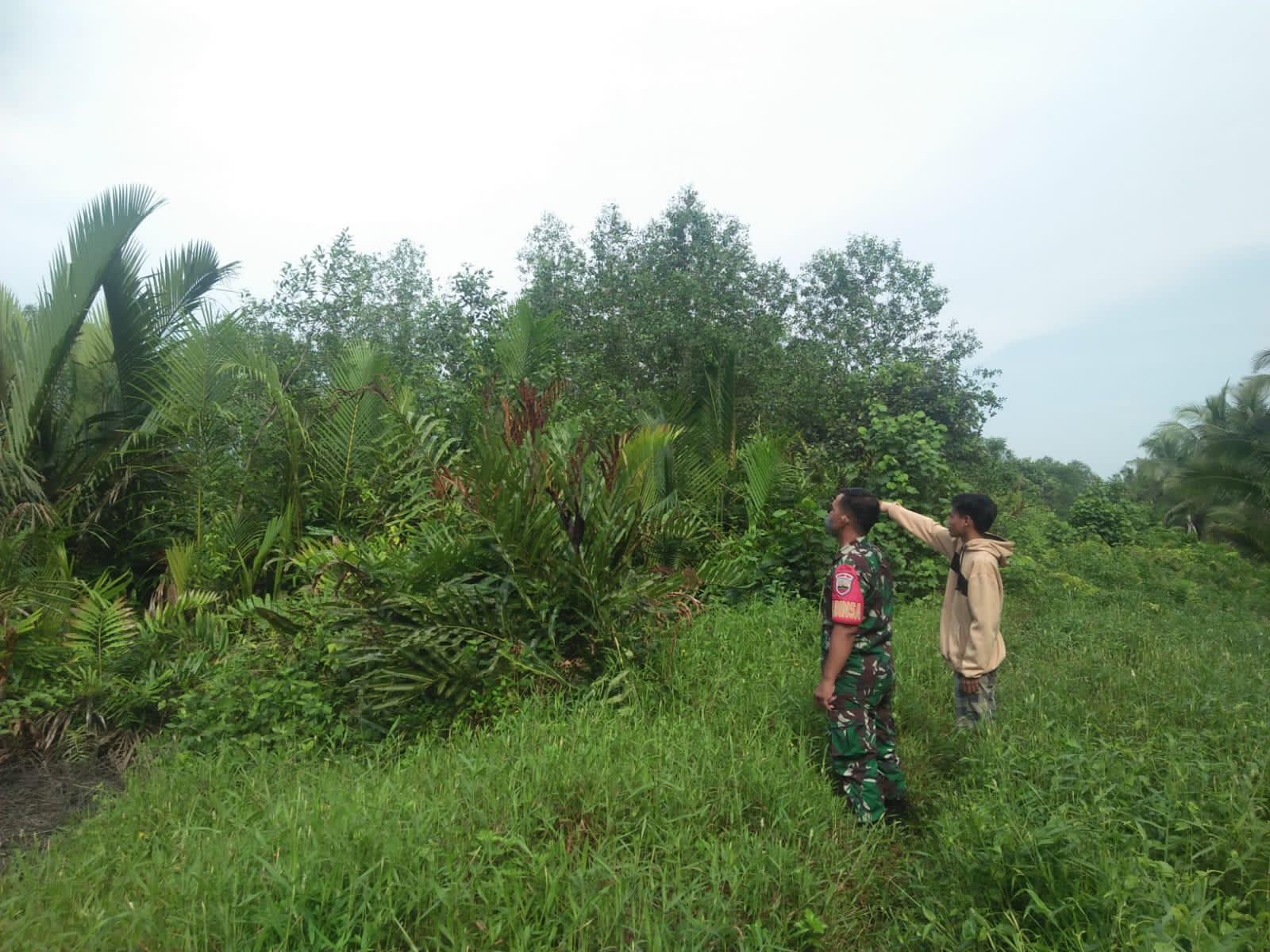 Lakukan Patroli Rutin Terkait Karlahut Oleh Babinsa Koramil 04/Kuindra