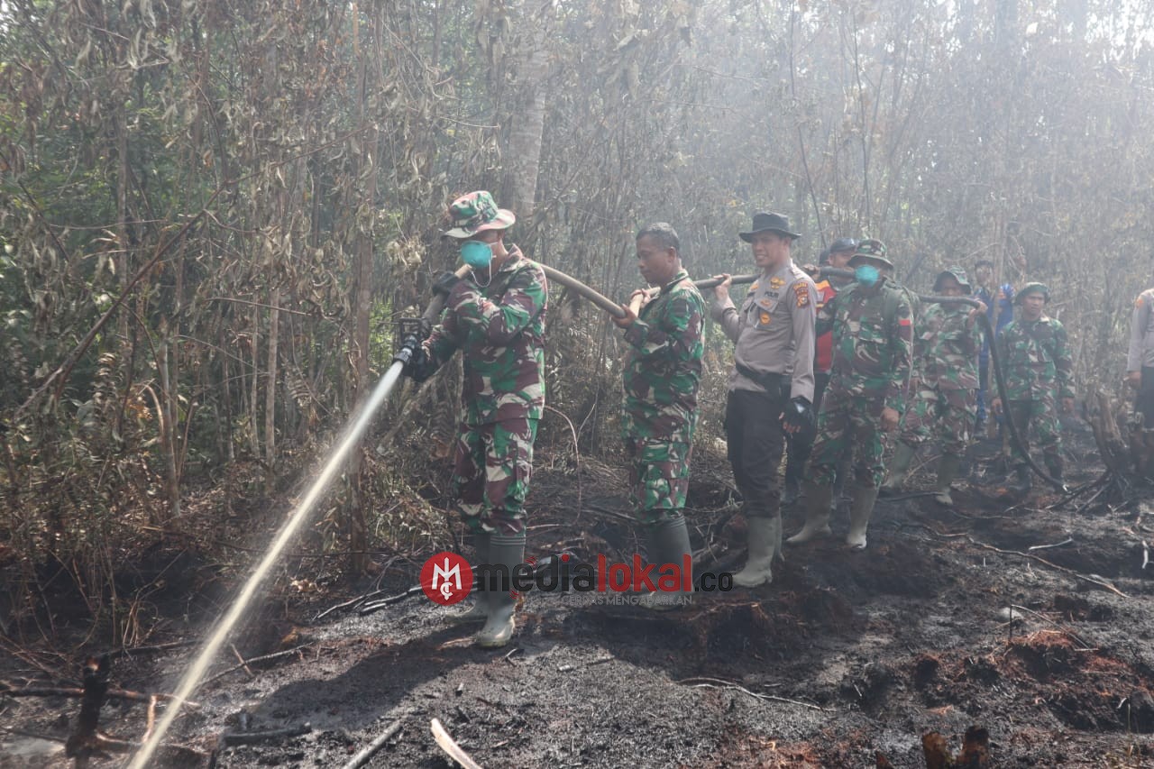 Karhutla di Desa Sungai Junjangan, Dandim 0314/Inhil Bersama Regu Gabungan Gelar Pendinginan