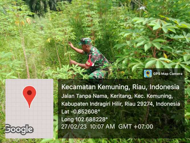 Koramil 09/Kemuning Lakukan Pembersihan Di Sekitaran Gulma