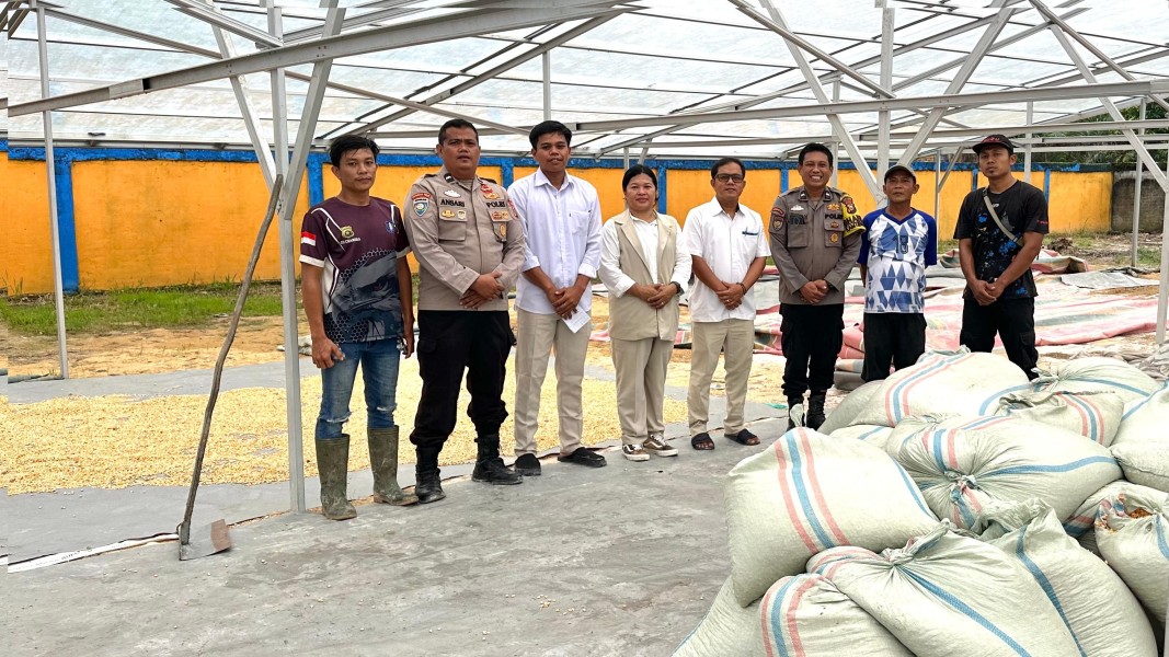 Dukung Ketahanan Pangan Nasional, Polsek Koto Gasib Kembali Kirim Hasil Panen Jagung ke Bulog