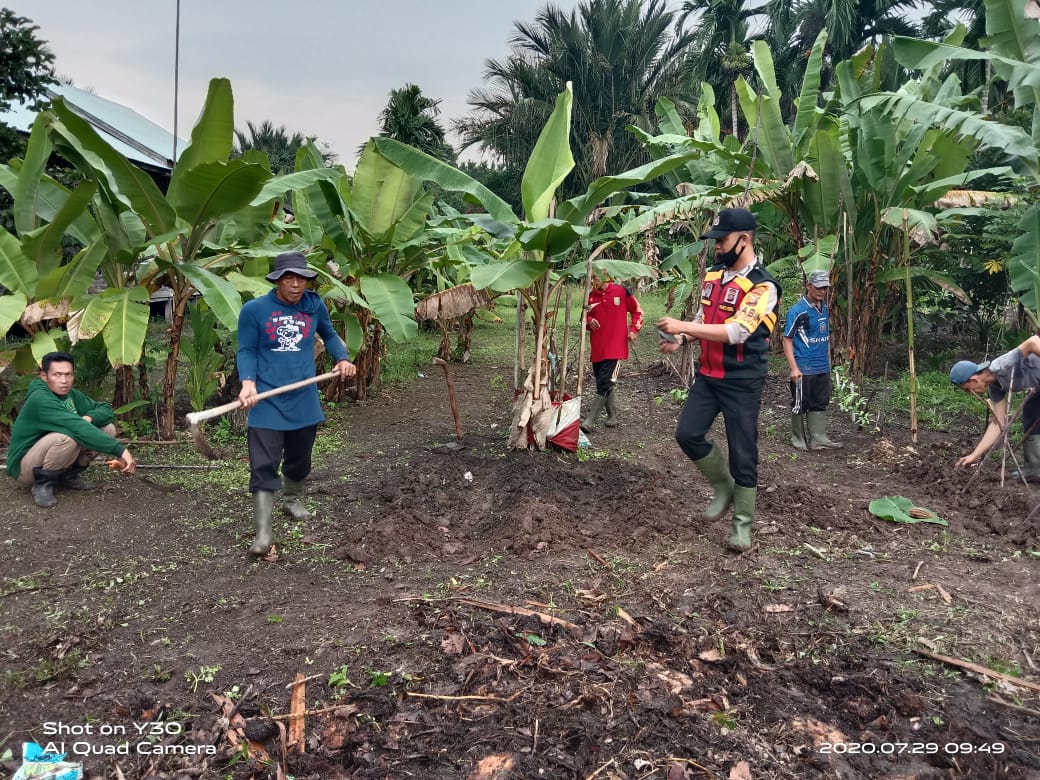Bhabinkamtibmas Polsek Gas Terus Lakukan Perawatan dan Pembersihan Lahan Ketahanan Pangan