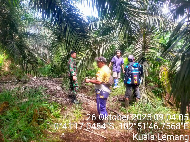 Babinsa Koramil 09/Kemuning Patroli di Kuala Lemang: Situasi Tapal Batas Wilayah Aman dan Terkendali Babinsa Koramil 09/Kemuning Patroli di Kuala Lemang: Situasi Tapal Batas Wilayah Aman dan Terkendali