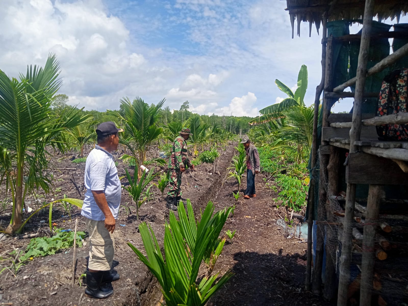 Guna Menjalin Hubungan Baik, Babinsa Koramil 04/Kuindra Laksanakan Komsos Bersama Para Petani Pinang