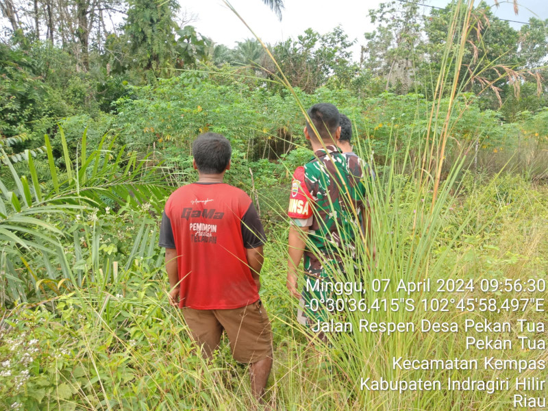 Cuaca Panas Rawan Karhutla, Babinsa Koramil 03/Tpl Gencar Patroli dan Sosialisasi di Binaan