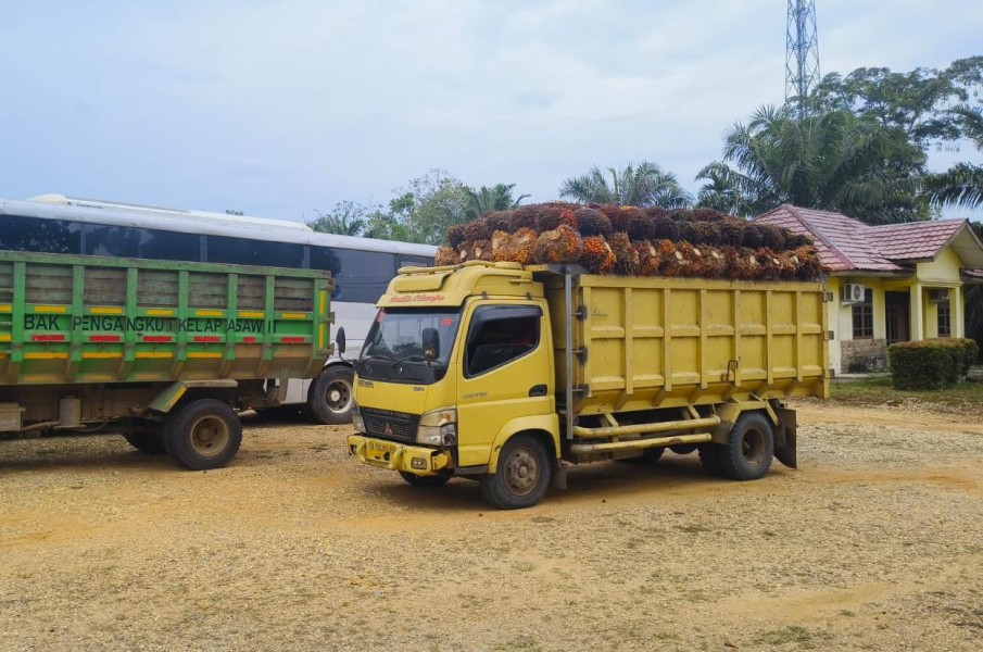 Mobil Angkutan Jarahan TBS Kebun Agrinas Palma Nusantara di Inhu Diamankan Polisi