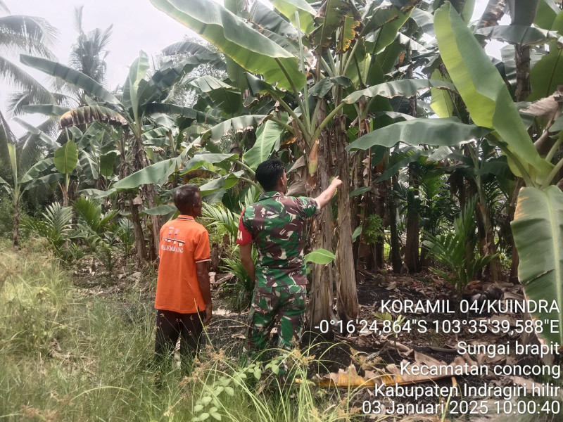 Patroli Karhutla di Desa Sungai Brapit, TNI-Masyarakat Bersatu