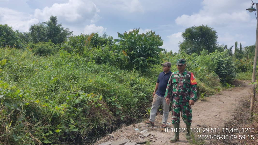 Cegah Kebakaran Hutan dan Lahan, Babinsa Koramil 10/Pelangiran Patroli Karhutla