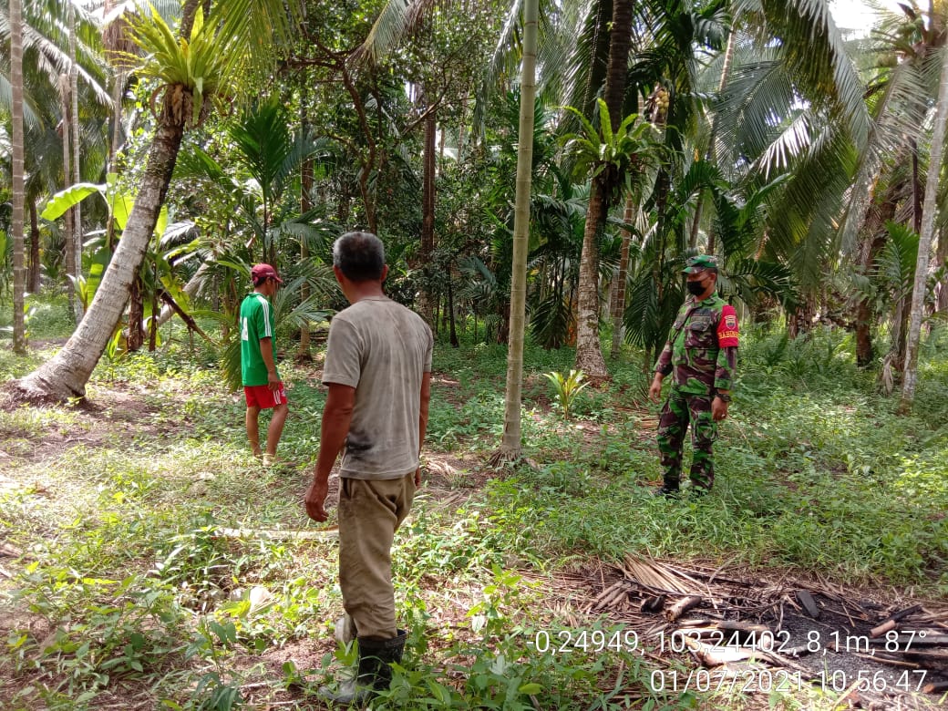 Babinsa Koramil 12/Batang Tuaka Koptu Ronald M Antisipasi Kebakaran Lahan