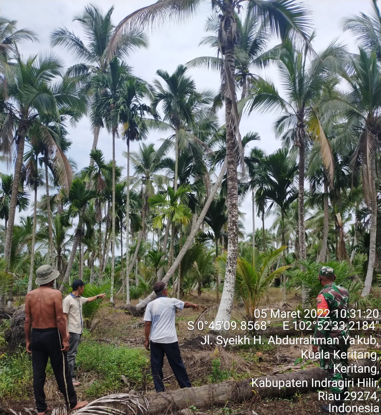 Babinsa Koramil 09/Kemuning, Kopda Nasrianto Terus Lakukan Patroli Karhutla di Desa Kualu