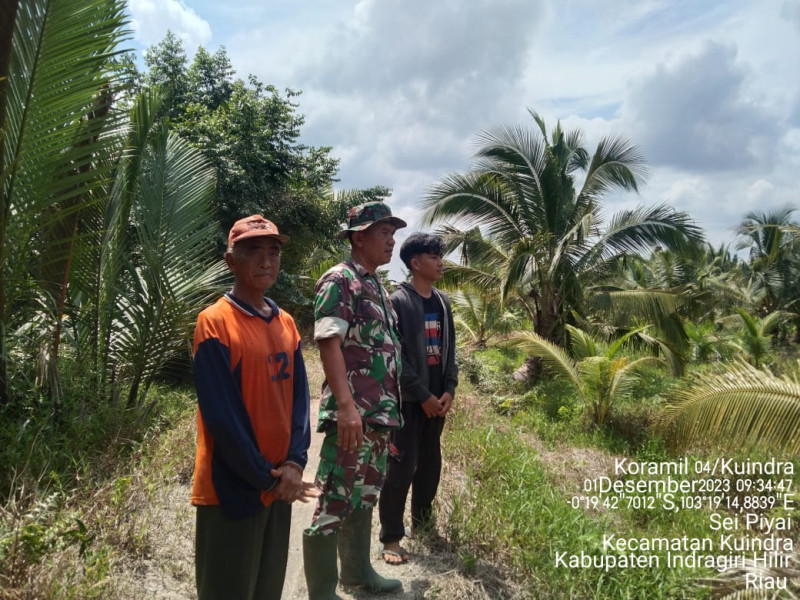 Di Wilayah Desa Sungai Piyai, Babinsa Koramil 04/Kuindra Turun Untuk Meninjau Langsung Karhutla