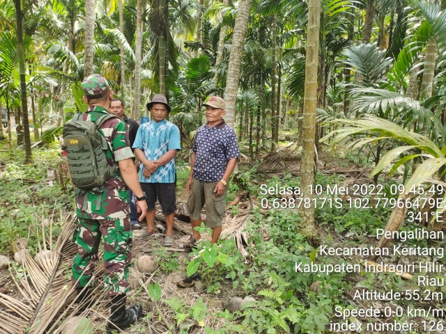 Babinsa Koramil 09/Kemuning Rutin Laksanakan Patroli Karhutla di Desa Pengalihan