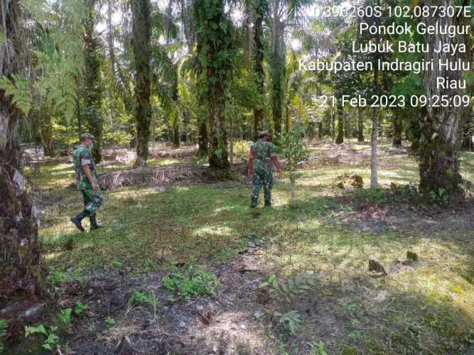 Cegah Dini Karhutla, Babinsa Lakukan Patroli dan Sosialisasi