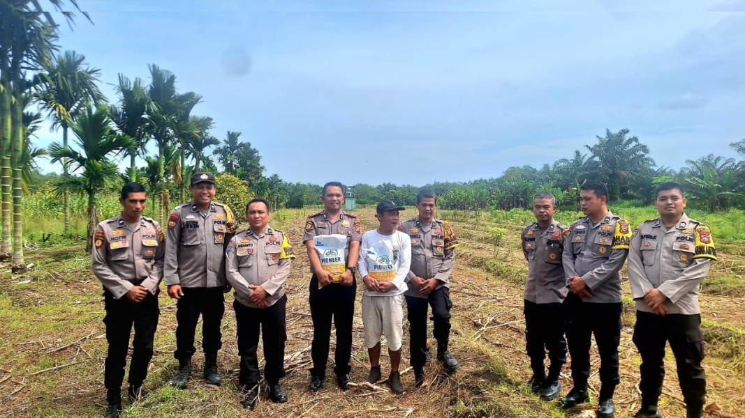 Polsek Koto Gasib Salurkan Benih Jagung Pipil Kepada Kelompok Tani Mekar Sari