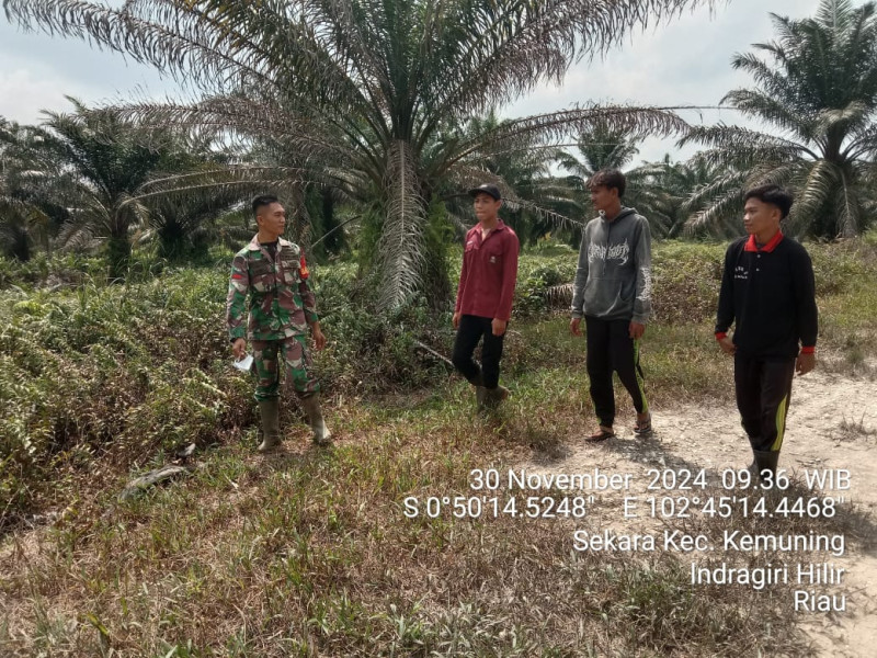 Babinsa Koramil 09/Kemuning Cegah Kebakaran Lahan dan Hutan Bersama Warga