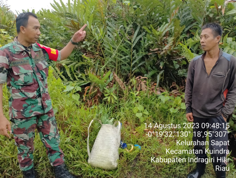 Pencegahan Karhutla Pada Musim Kemarau Terus Dilakukan Babinsa Koramil 04/Kuindra