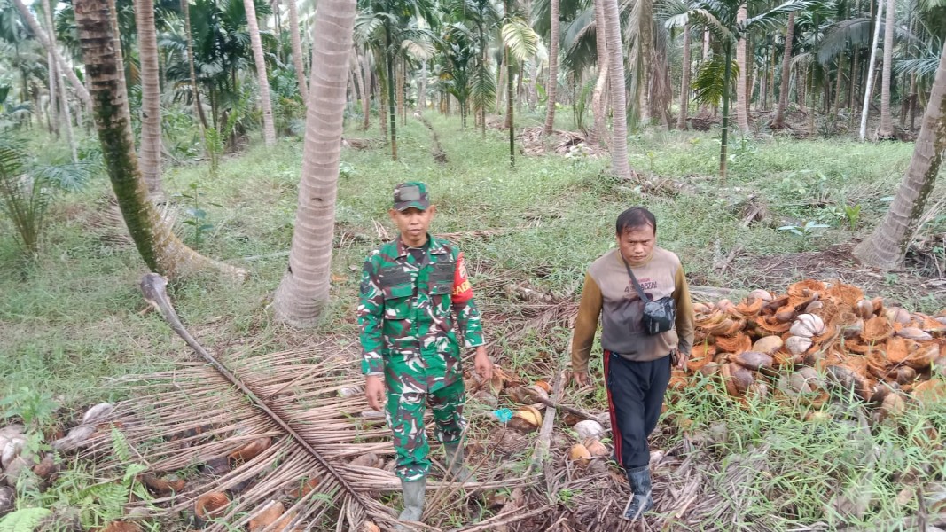 Babinsa Koramil 07/Reteh Laksanakan Patroli Karhutla di Wilayah Parit 1 Kel. Pulau Kijang