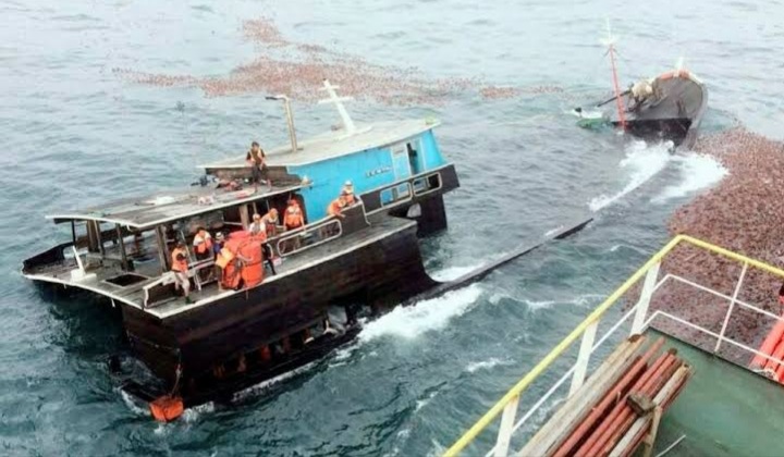 Angkut 70 Ton Kelapa dari Guntung Inhil, Kapal Motor Setia GT-31  Tenggelam di Lingga Kepulauan Riau
