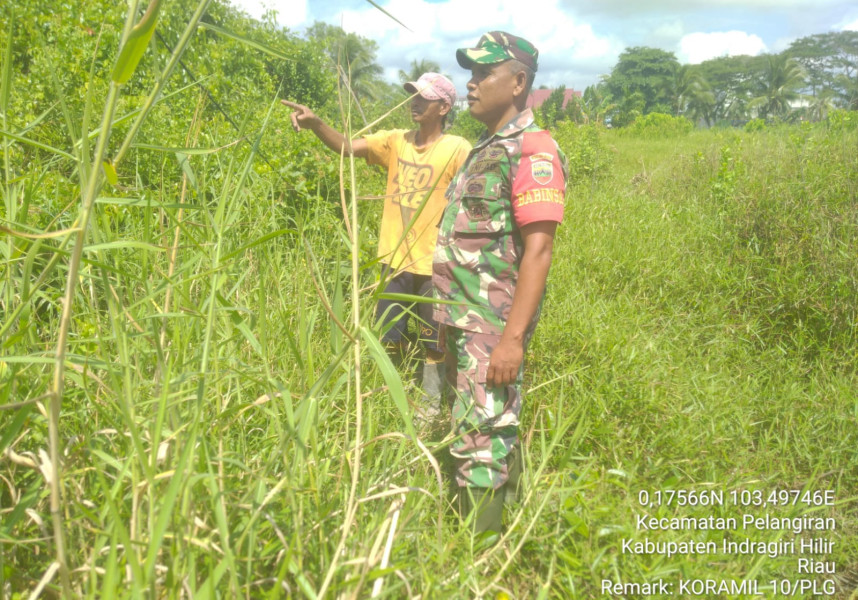 Babinsa Koramil 10/Pelangiran Rutin Turun Untuk Patroli Lahan dan Hutan