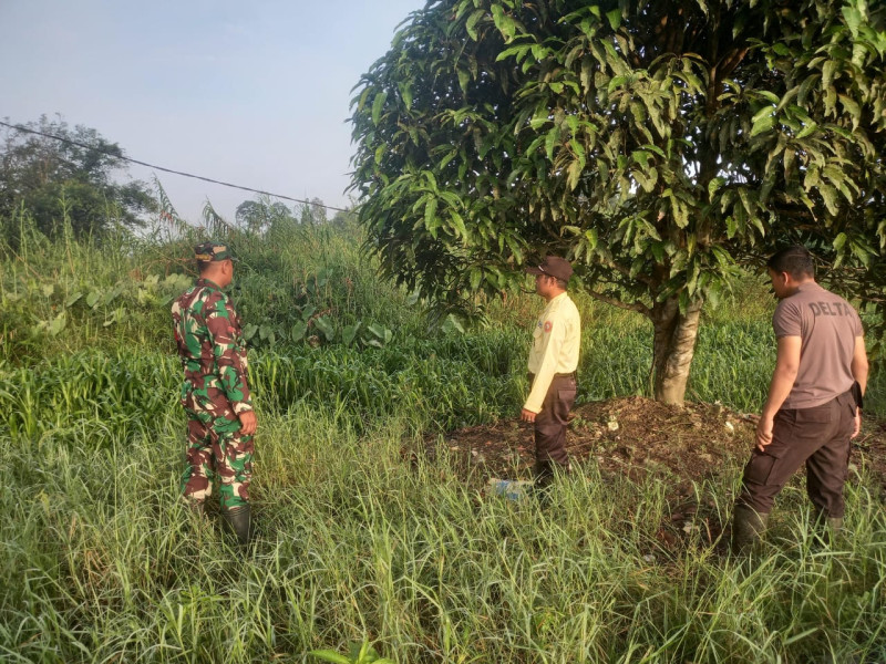 Babinsa Koramil 05/Gas Pratu Sandi Wahyudi Giat Laksanakan Patroli Karlahut Di Desa Binaan