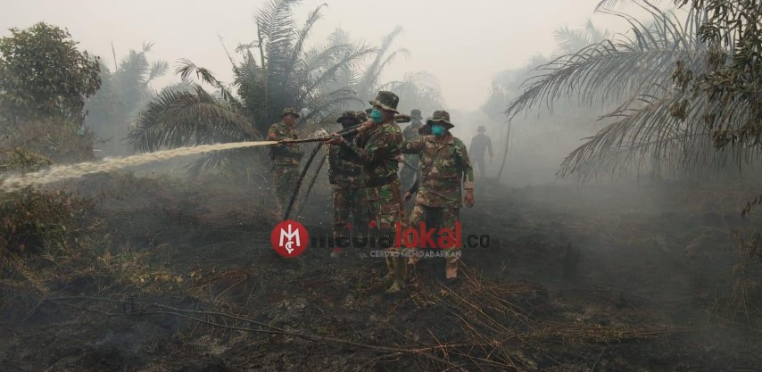 Kabut Asap Selimuti Kecamatan Tempuling dan Kempas, Satgas Berjibaku Tangani Karhutla