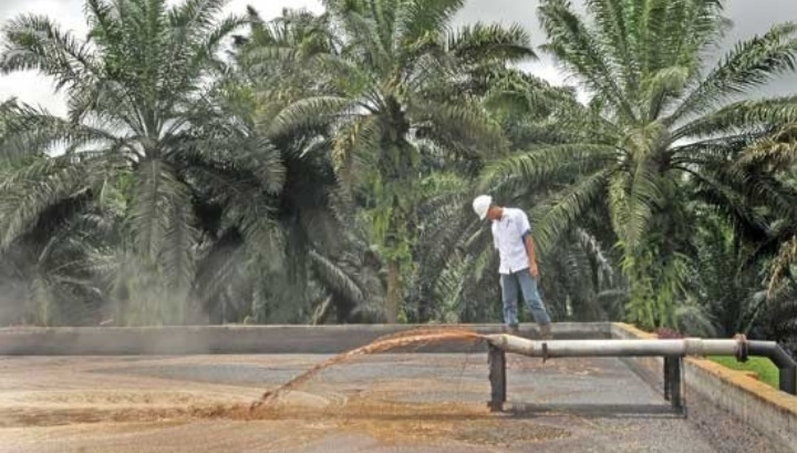 Presiden Jokowi Hapus Limbah Sawit dari Kategori Berbahaya