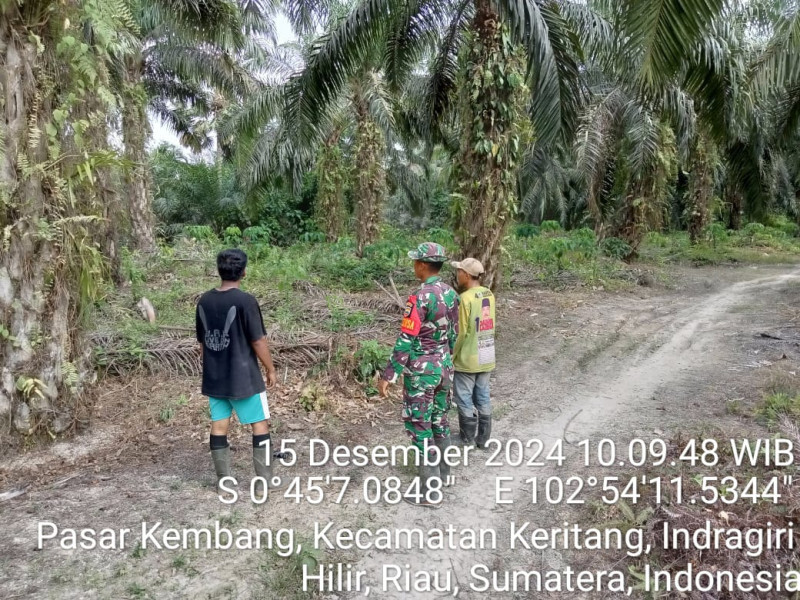 Patroli Karhutla Koramil 09/Kemuning, Situasi Aman