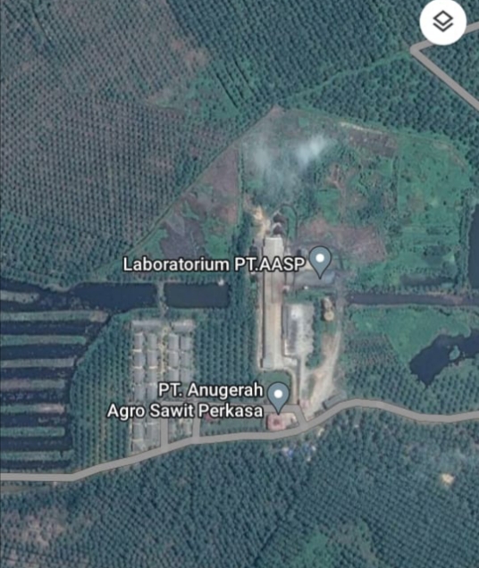 Terkesan Lamban, GMPR Minta DLHK Riau Jangan Tebang Pilih