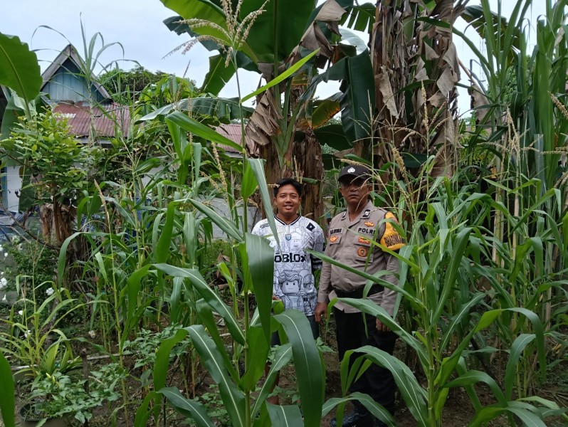 Bhabinkamtibmas Polsek Kemuning dan Petani: Ketika Seragam Turun Ke Tanah, Swasembada Pangan Menjadi Nyata